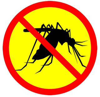 anti-dmosquito