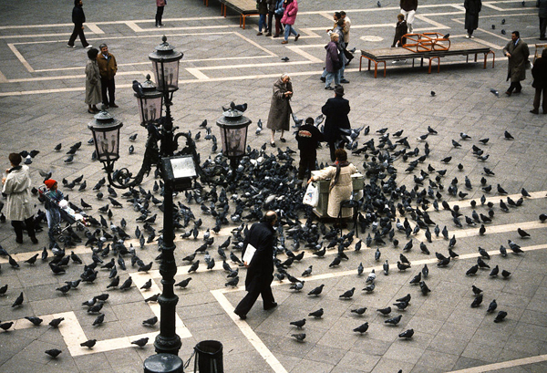 Piazza_San_Marco_venice_pigeons