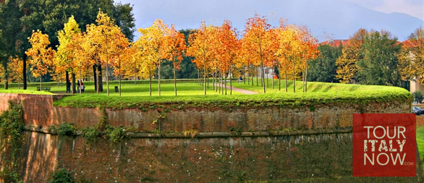 Lucca Italy in autumn