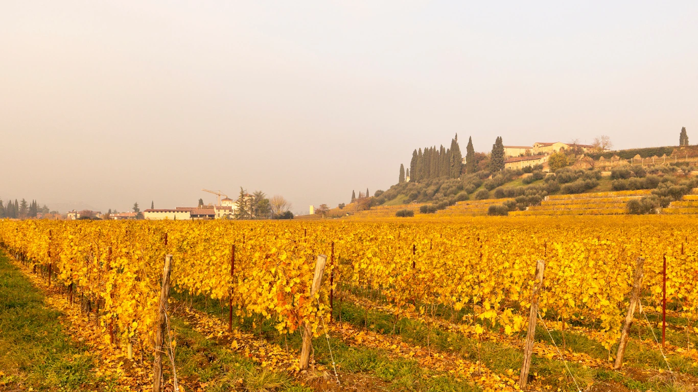 Everything-You-Need-to-Know-About-Traveling-to-Italy-in-November-by-Tour-Italy-Now
