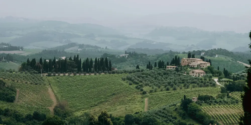 Tourists exploring Italy together on a guided summer group tour